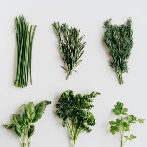HERBS
